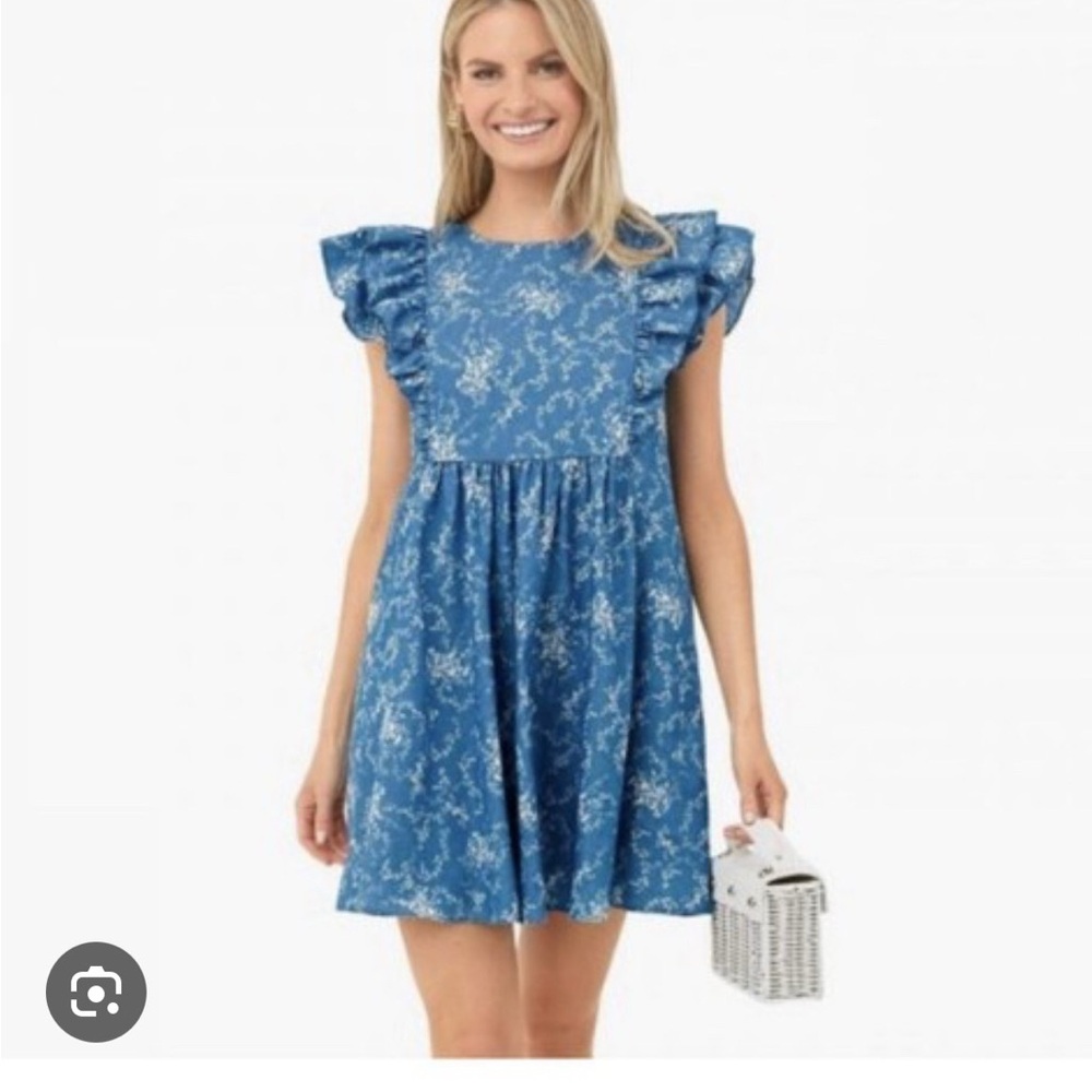 Tuckernuck Hyacinth House Blue and White Ruffle Mini Dress